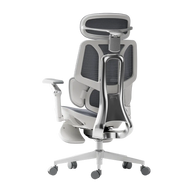HBADA E3 Ultra Ergonomic Office Chairs 2026 Edition~2-1-1