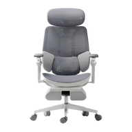 HBADA E3 Ultra Ergonomic Office Chairs 2026 Edition~2-1-1