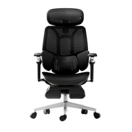 HBADA E3 Ultra Ergonomic Office Chairs 2026 Edition~2-0-1