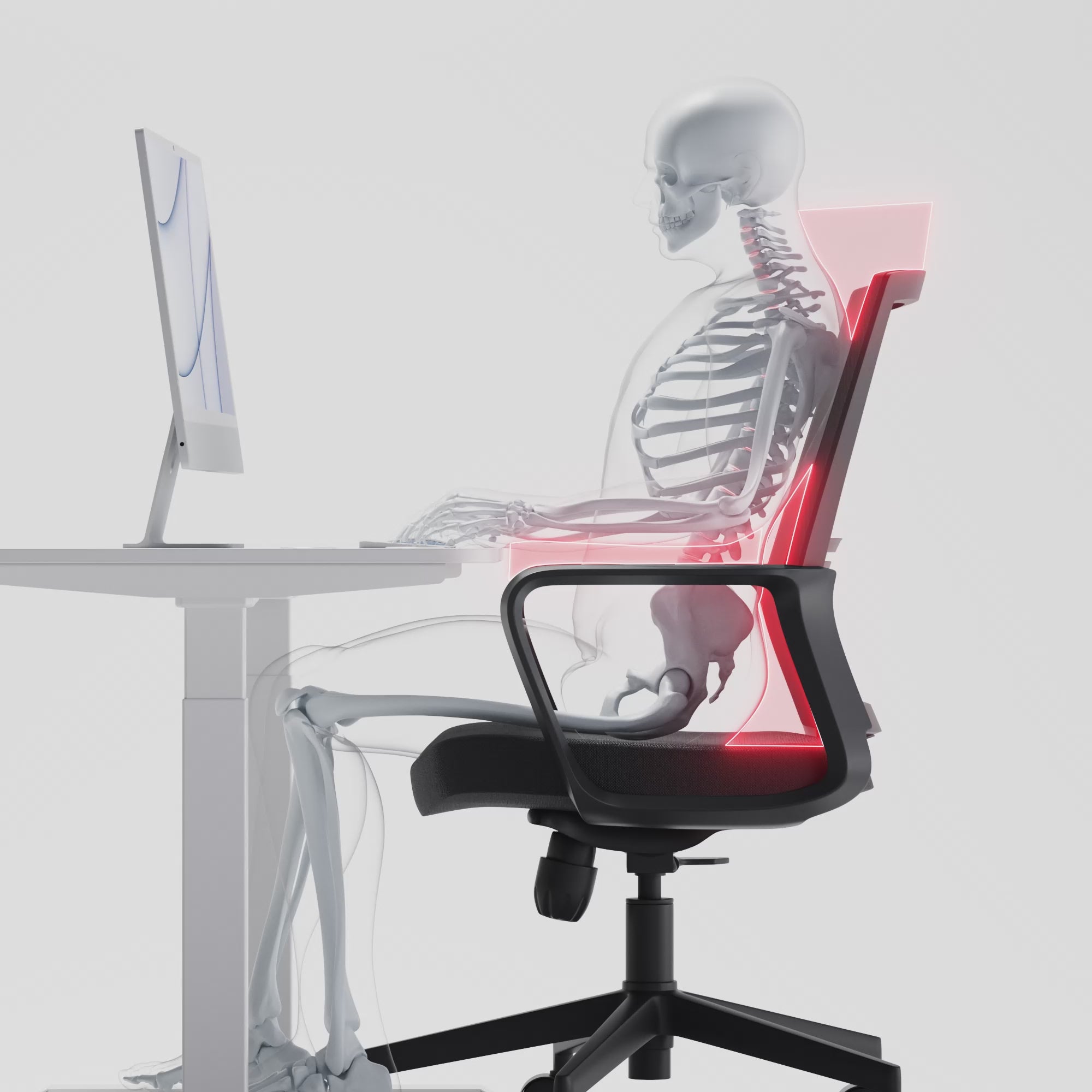 Professional ergonomic chair (Traditional Chair)