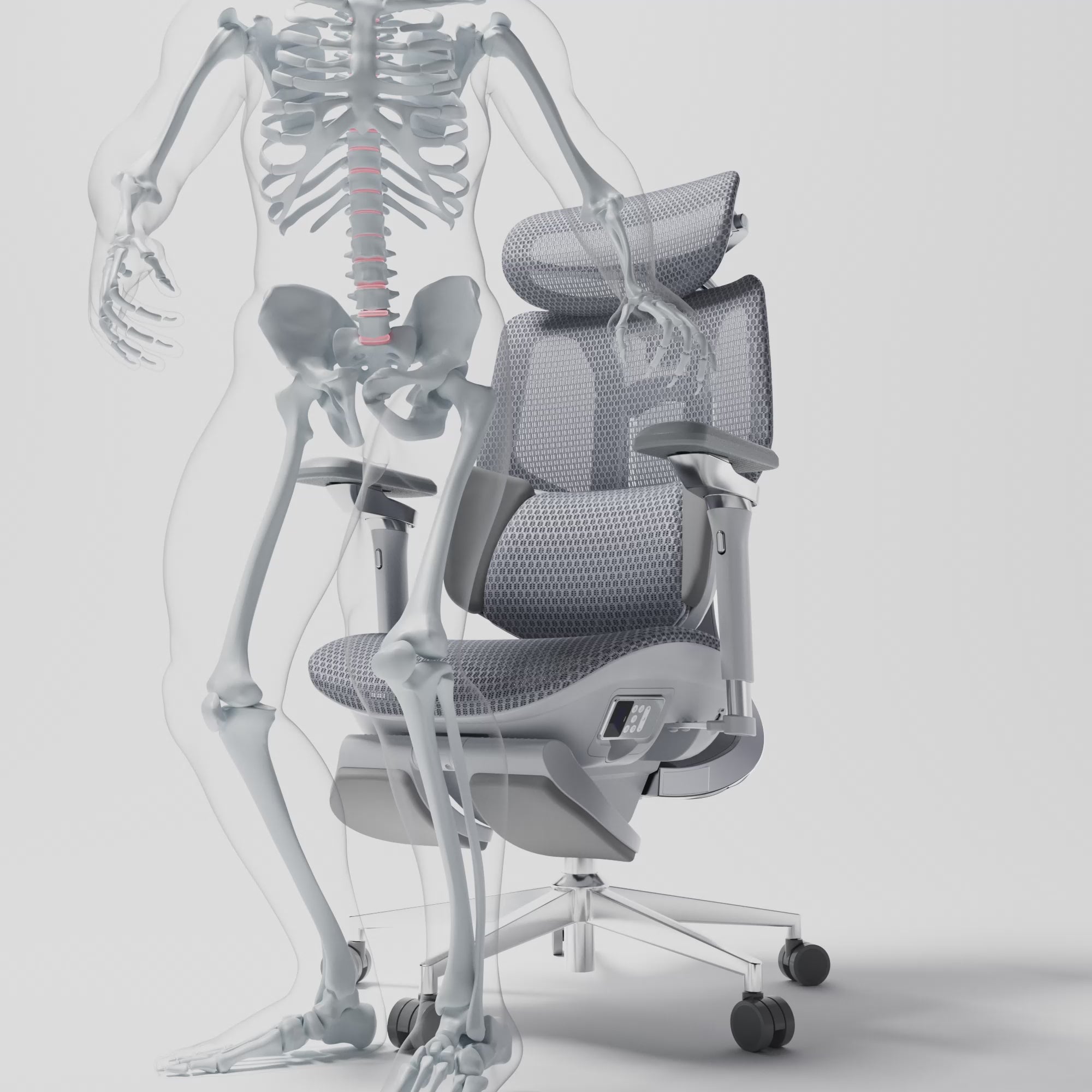 Back lumbar support (HBADA)